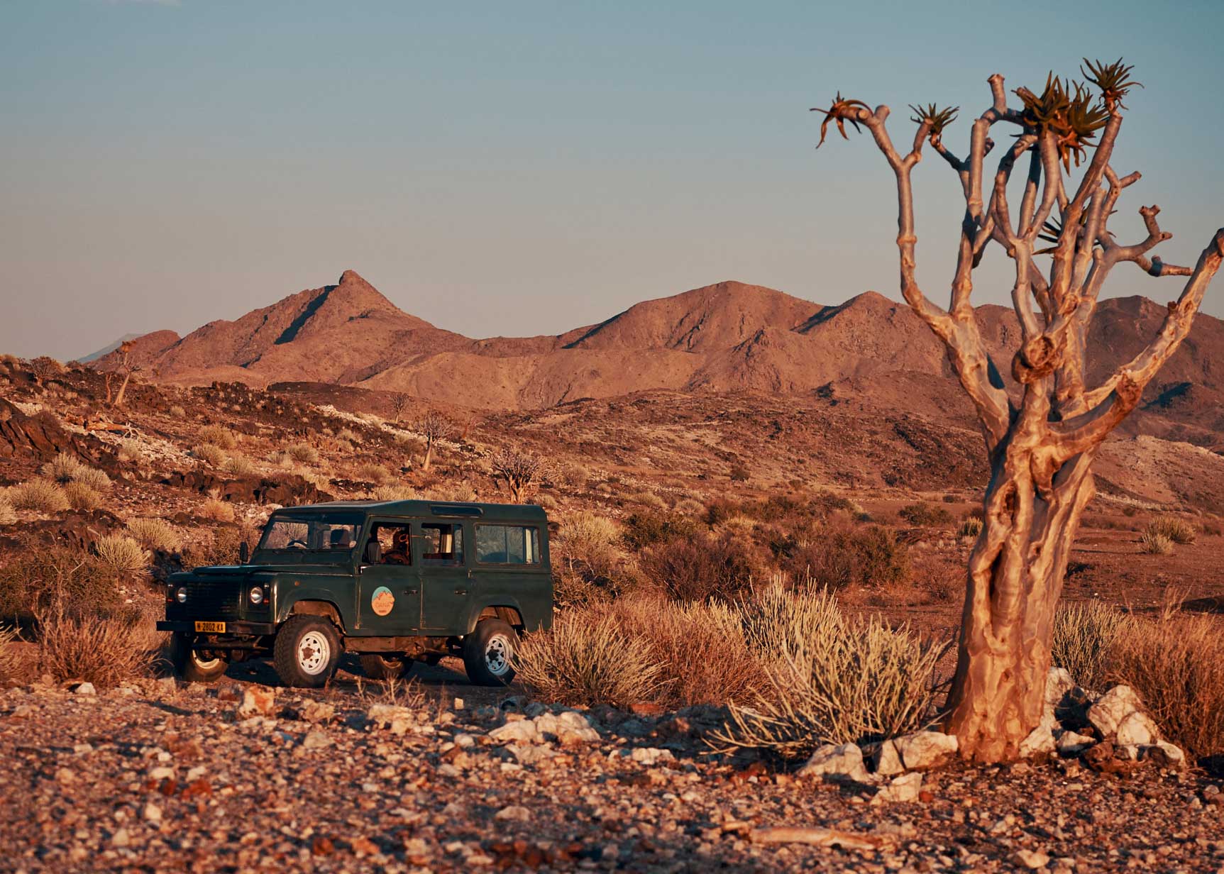 land rover car by quiver tree