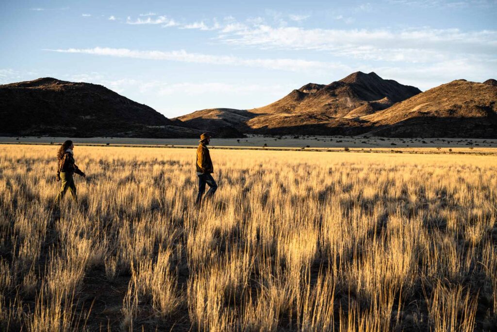 two people walking through tall grass