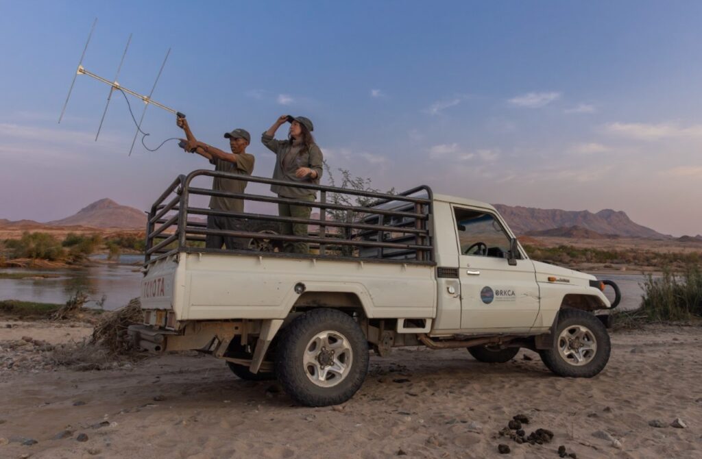 WhatsApp Image 2025 11 11 at 15.53.43 c42b4eff