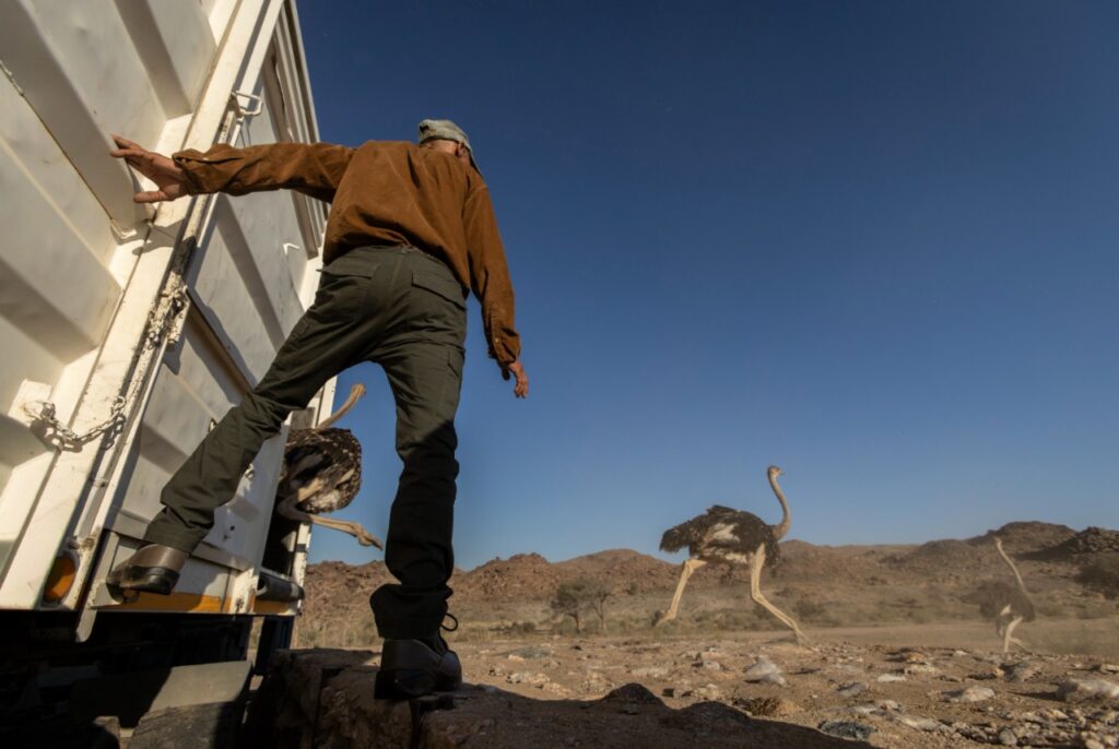 WhatsApp Image 2025 11 11 at 15.53.46 d6a9a4a8